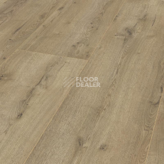 Ламинат Kronotex Mega Plus d3668 Дуб Неброский фото 1 | FLOORDEALER